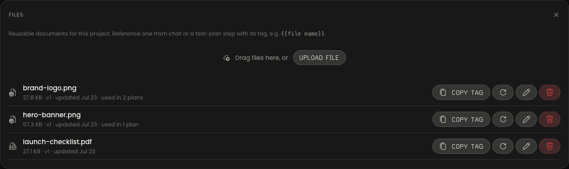 The Files section in Agentiqa project settings